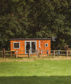 The hideaway at hiddenwood glamping